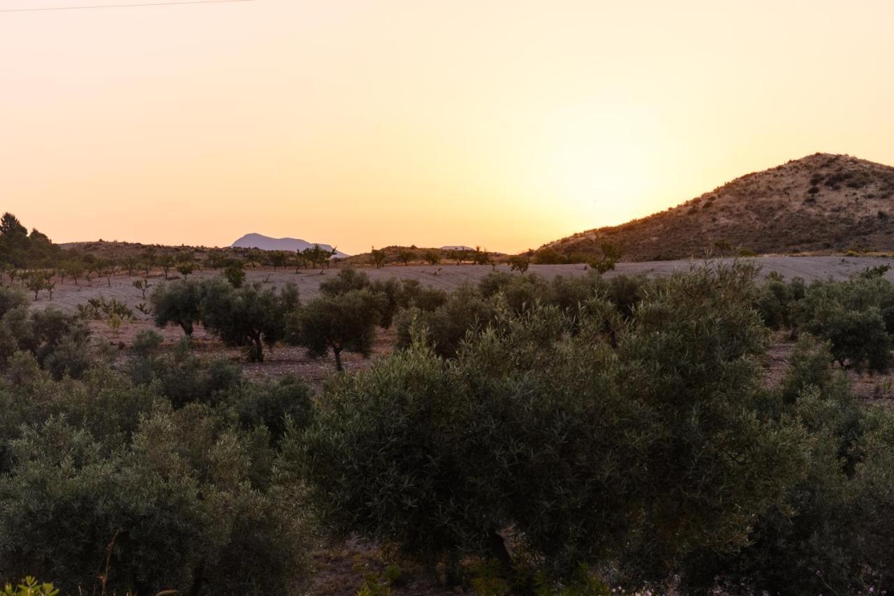 Complejo Rural Sol De Taberno Guest House Eksteriør bilde