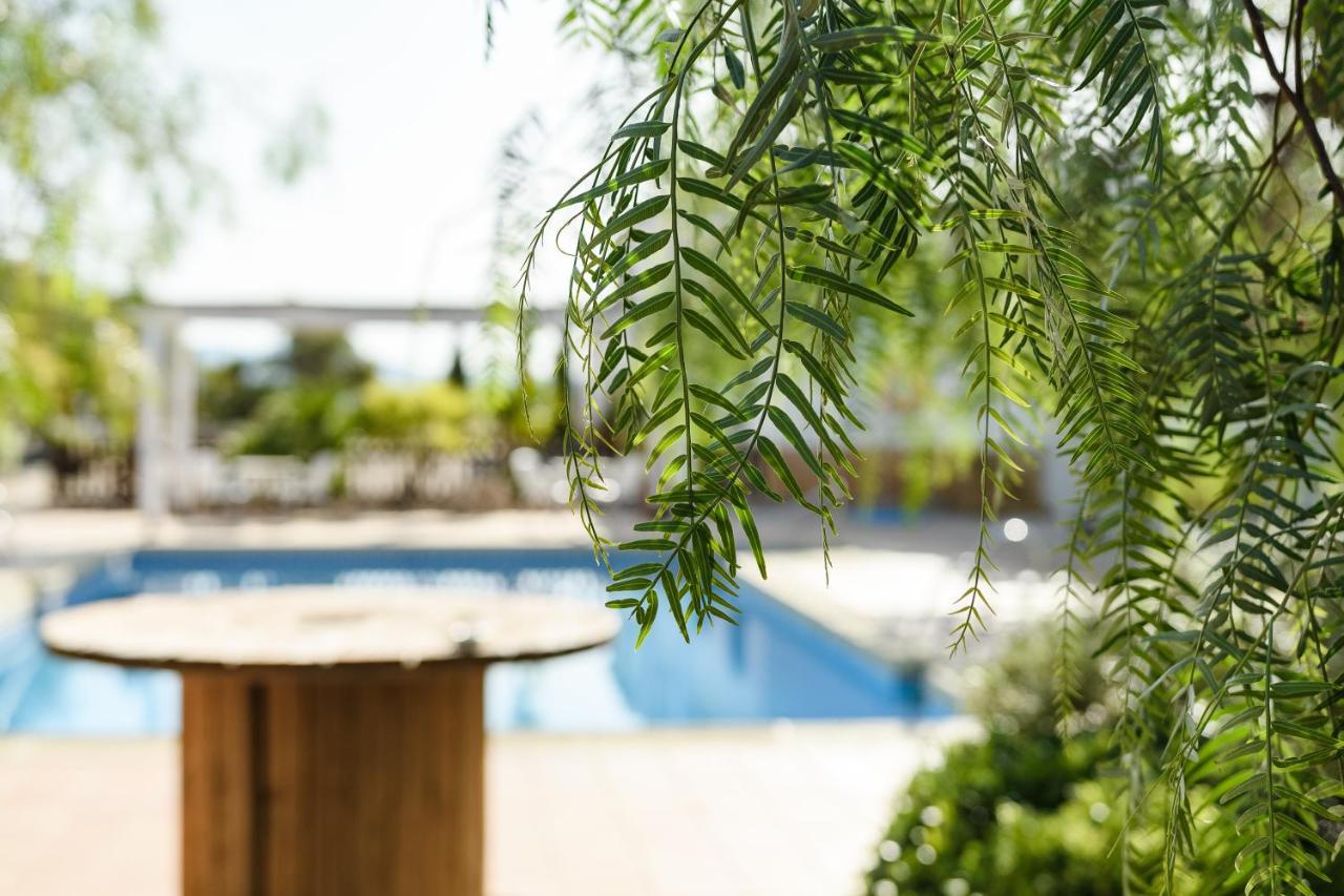 Complejo Rural Sol De Taberno Guest House Eksteriør bilde