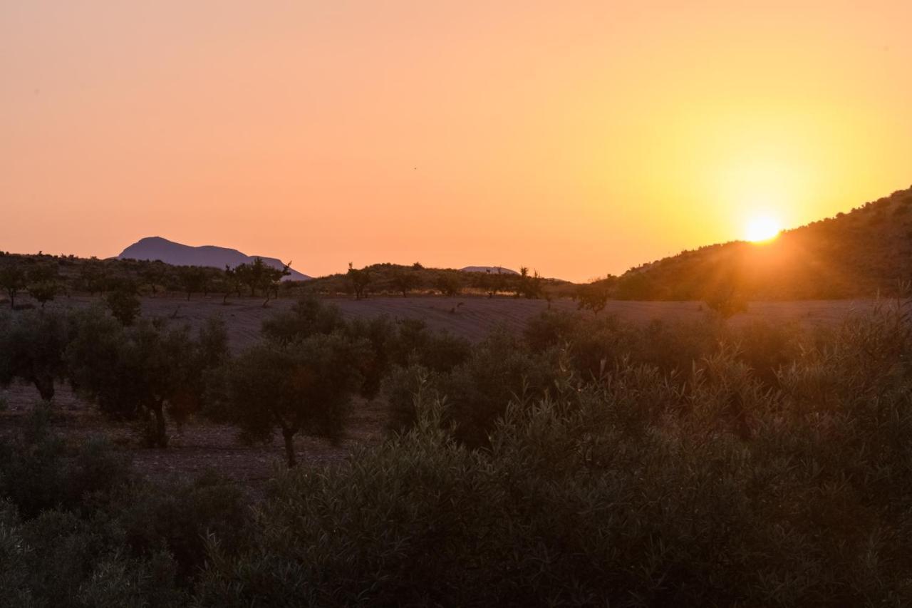 Complejo Rural Sol De Taberno Guest House Eksteriør bilde