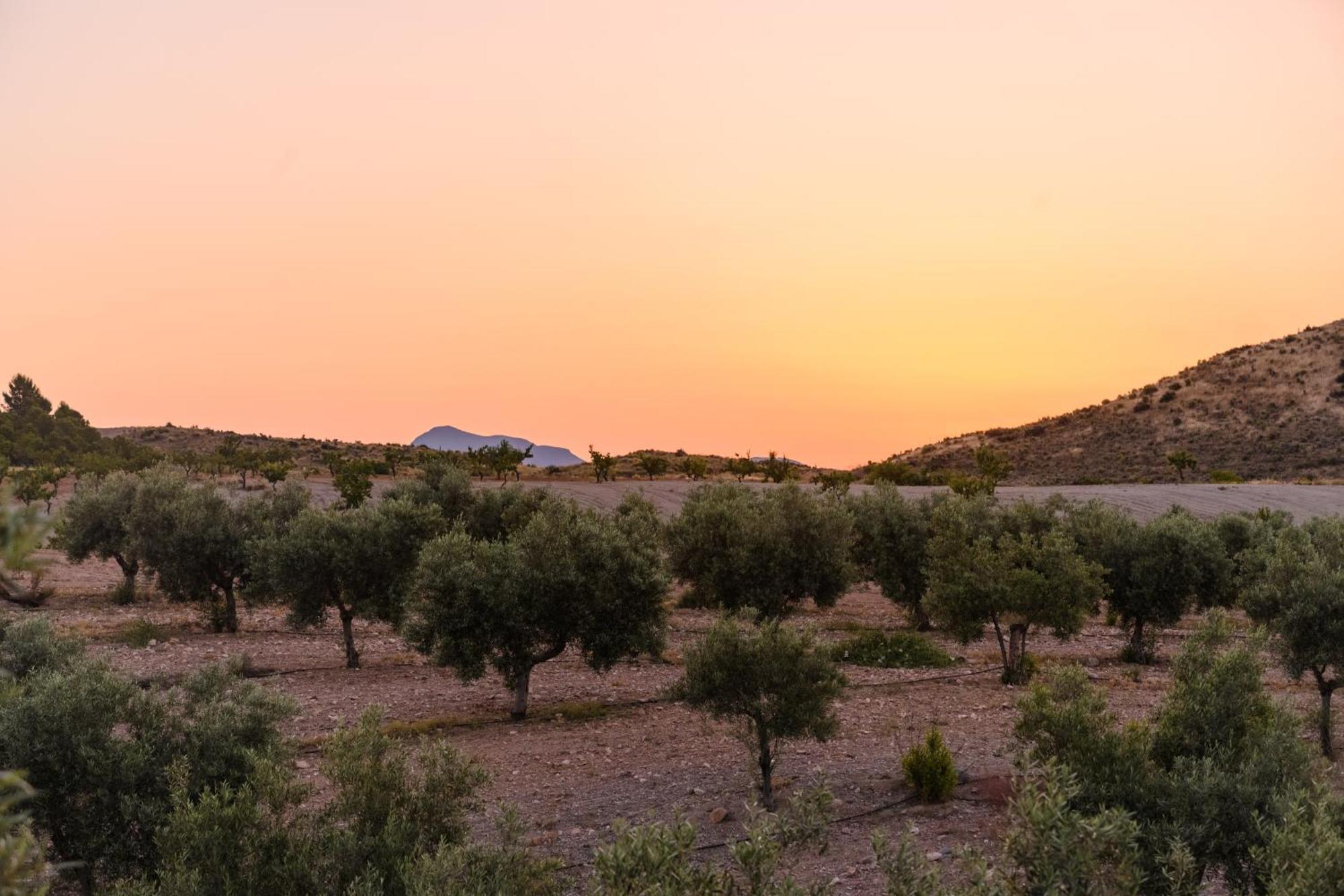 Complejo Rural Sol De Taberno Guest House Eksteriør bilde